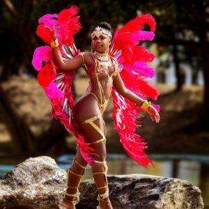 APHRODITE Frontline - All inclusive Premier Section