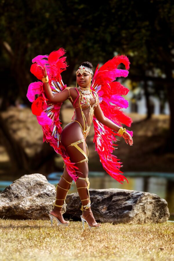 APHRODITE Frontline - All inclusive Premier Section